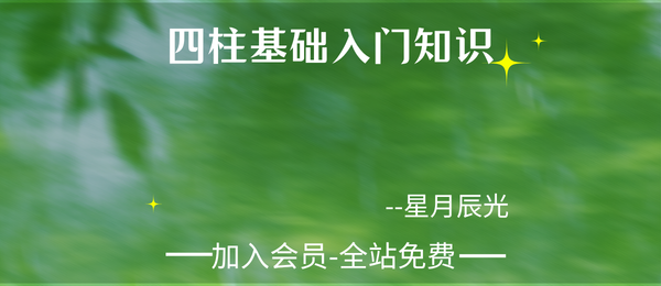 星月辰光:四柱基础入门知识25集视频