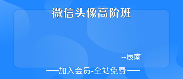 如是禅说辰南:微信头像高阶班51集+4个文档