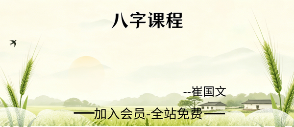 崔国文:八字课程50集视频