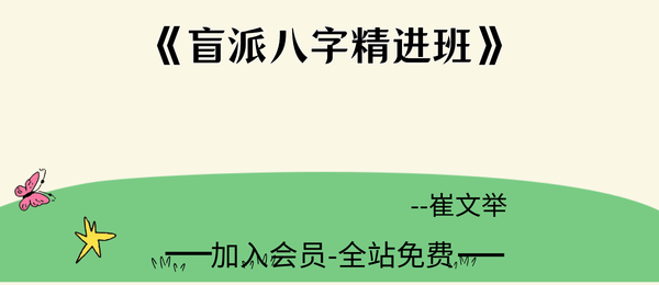崔文举:《盲派八字精进班》328页pdf