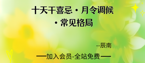 辰南:十天干喜忌·月令调候·常见格局28集视频