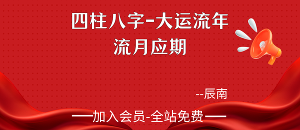 如是禅说辰南:四柱8字-大运流年流月应期18集视频