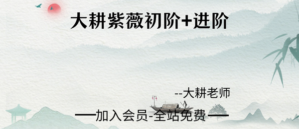 大耕老师紫薇初阶+进阶26集视频