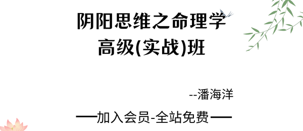 潘海洋:阴阳思维之命理学高级（实战）班19集视频