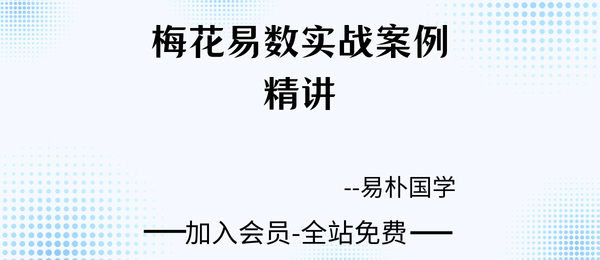 易朴:梅花易数实战案例精讲18集视频