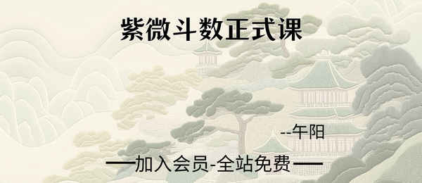 午阳:紫微斗数正式课25集+课件