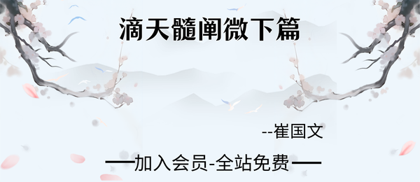 崔国文:滴天髓阐微下篇15集视频