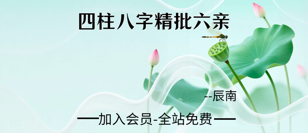辰南:四柱八字精批六亲38集视频