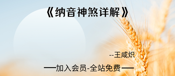 王咸炽:《纳音神煞详解》502页pdf